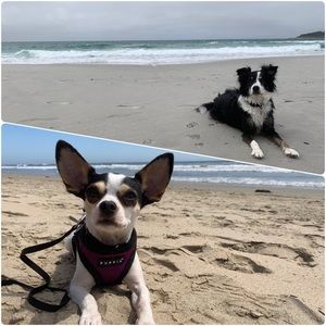 Meet your Posher, Lindy